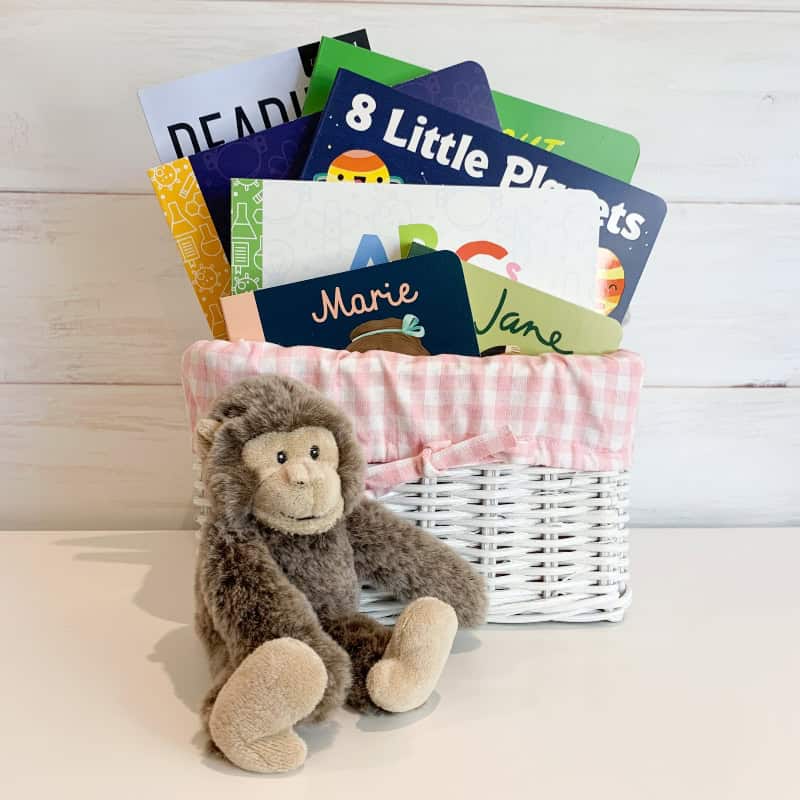 little scientist gift basket, little scientist, little scientists, science book, science books